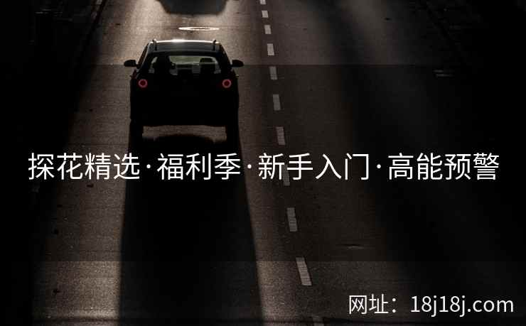探花精选·福利季·新手入门·高能预警 探花精选·福利季·新手入门·高能预警