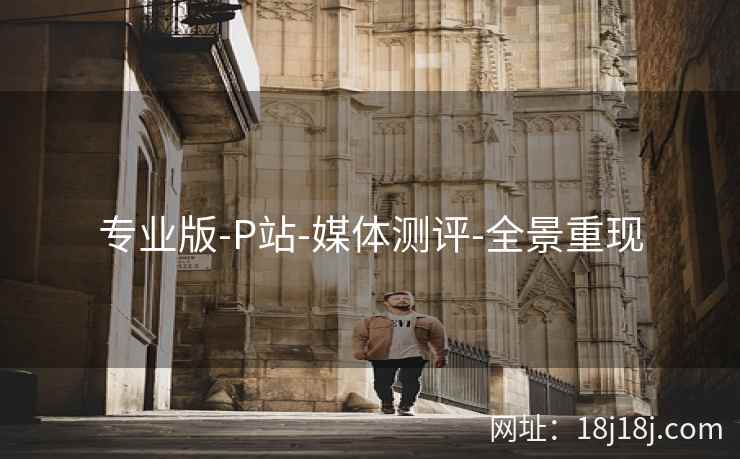 专业版-P站-媒体测评-全景重现