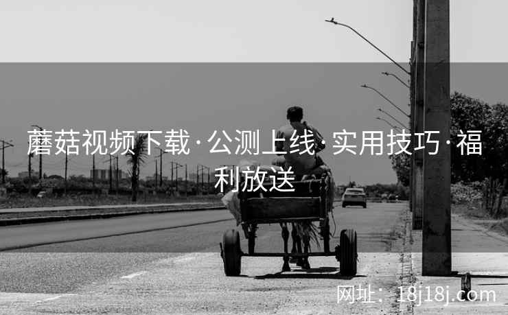 蘑菇视频下载·公测上线·实用技巧·福利放送