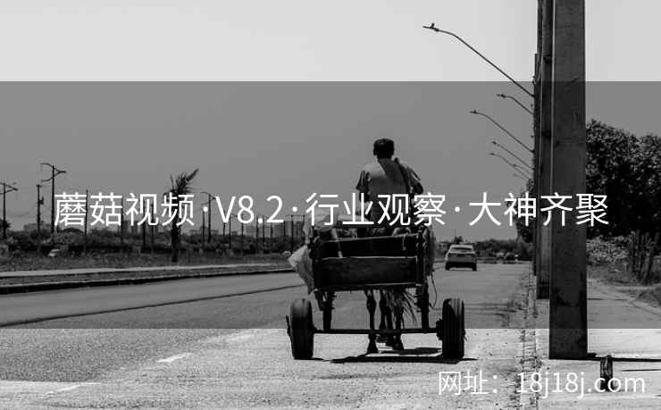蘑菇视频·V8.2·行业观察·大神齐聚